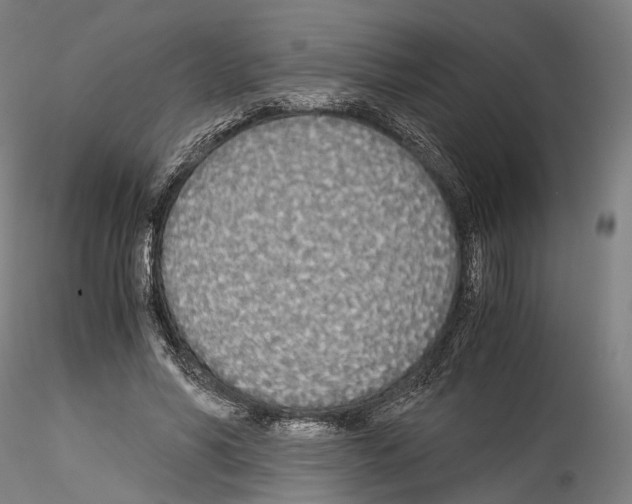 X0000114540590200911301203