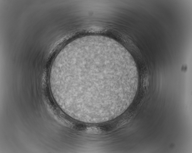 X0000114540591200911301203