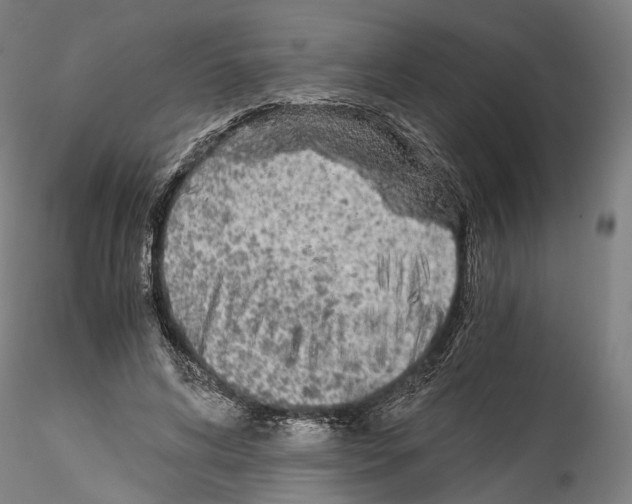 X0000114540592200911301203