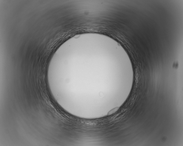 X0000114540593200911301203