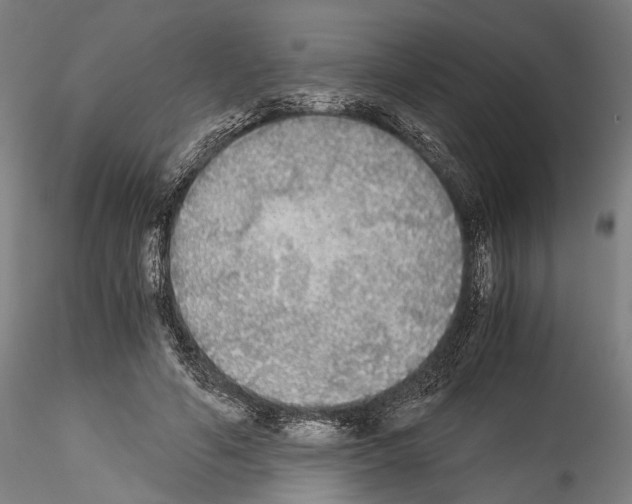 X0000114540594200911301203