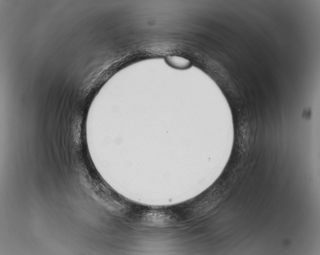 X0000114540596200911301203