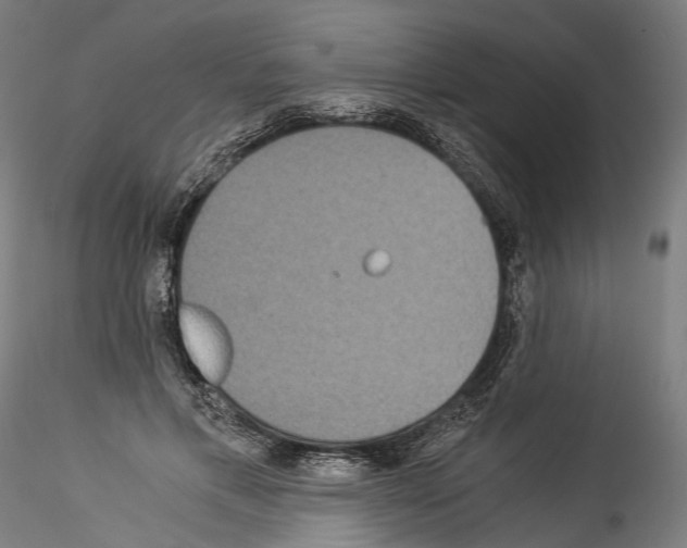 X0000114540597200911301203