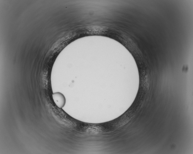 X0000114540599200911301203