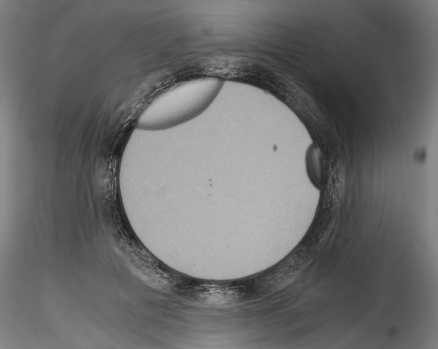 X0000114540601200911301203