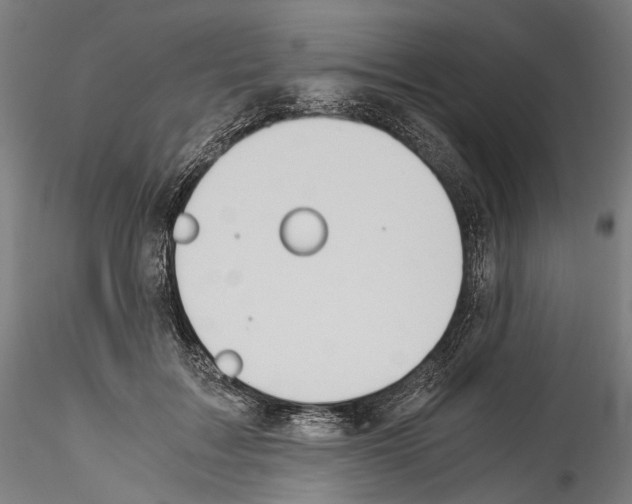 X0000114540603200911301203