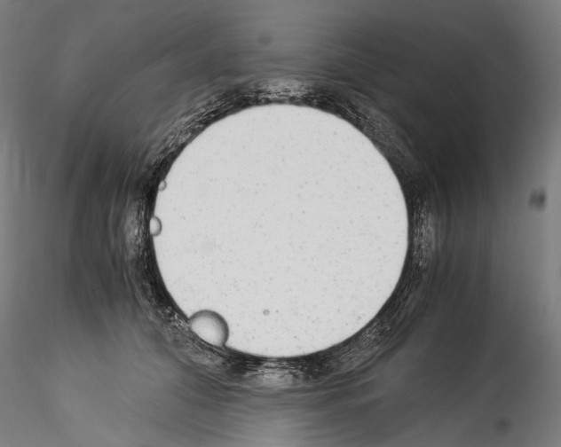 X0000114540608200911301203