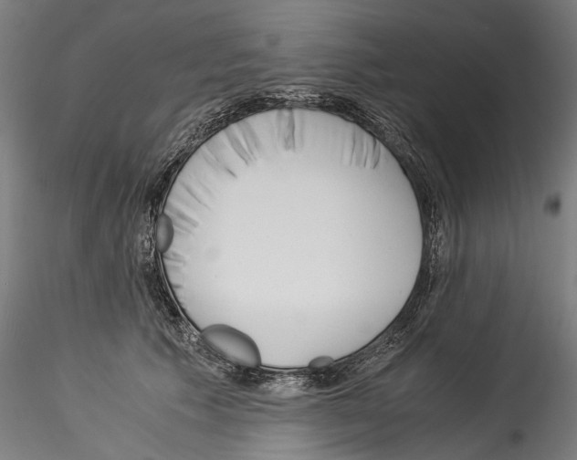 X0000114540609200911301203