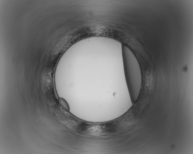 X0000114540611200911301203