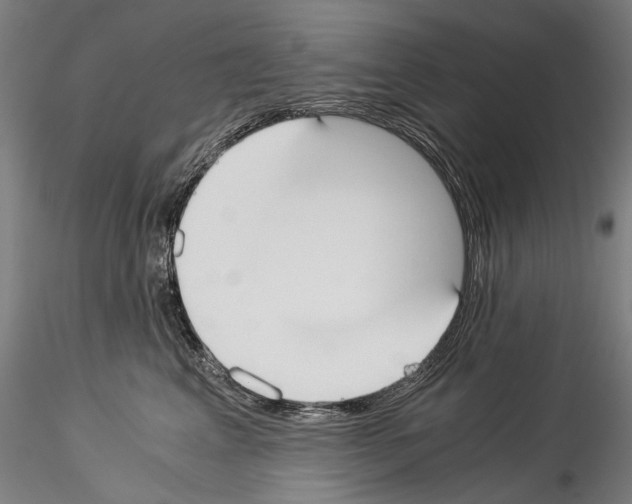 X0000114540617200911301203