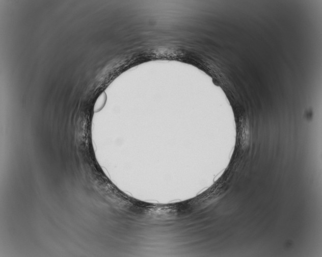 X0000114540619200911301203