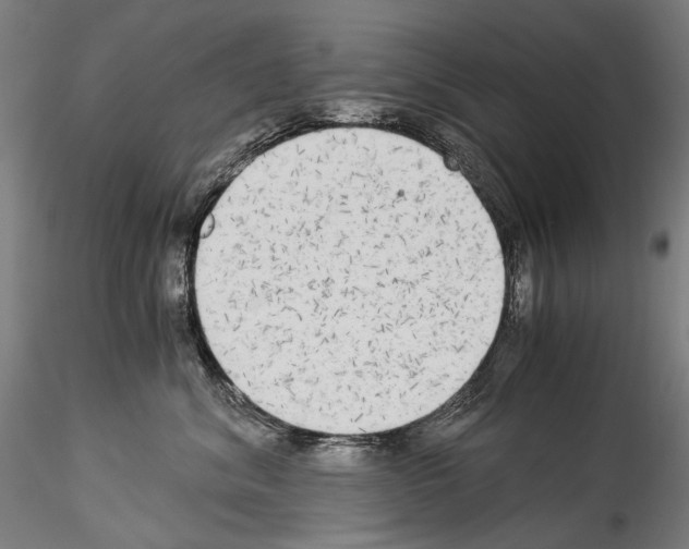 X0000114540620200911301203