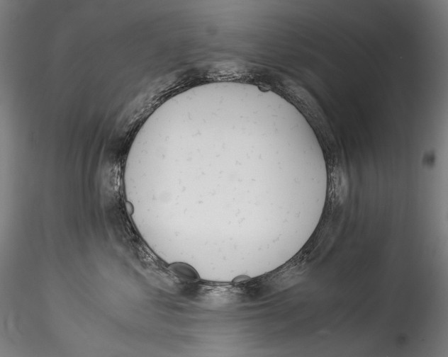 X0000114540621200911301203