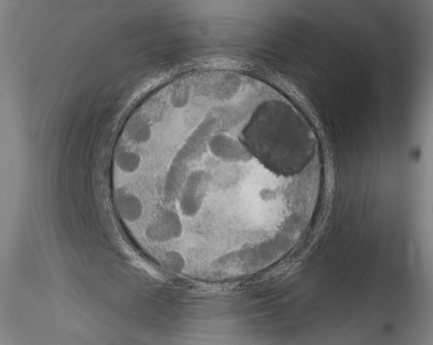 X0000114540625200911301202