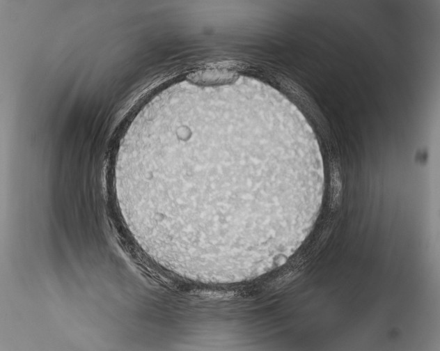 X0000114540626200911301202