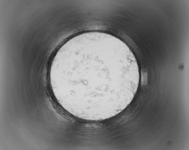 X0000114540627200911301202