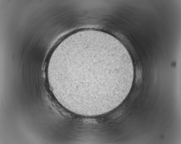 X0000114540628200911301202