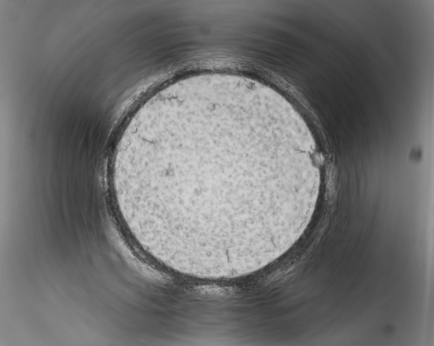 X0000114540629200911301202