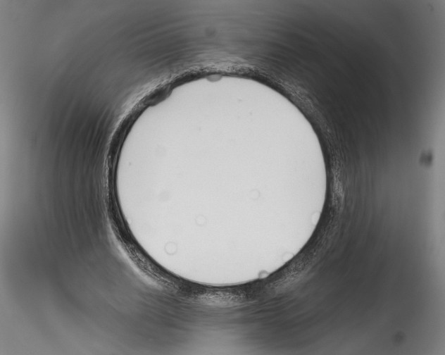 X0000114540630200911301202