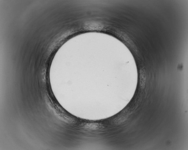 X0000114540631200911301202