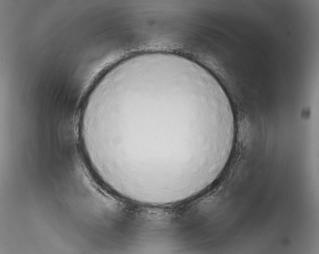 X0000114540632200911301202