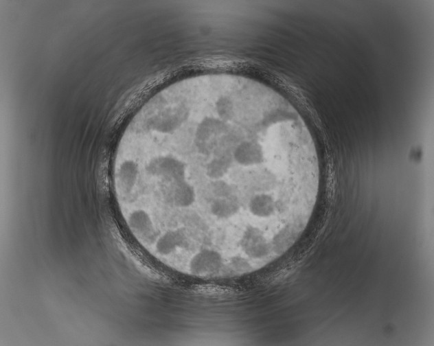 X0000114540633200911301202