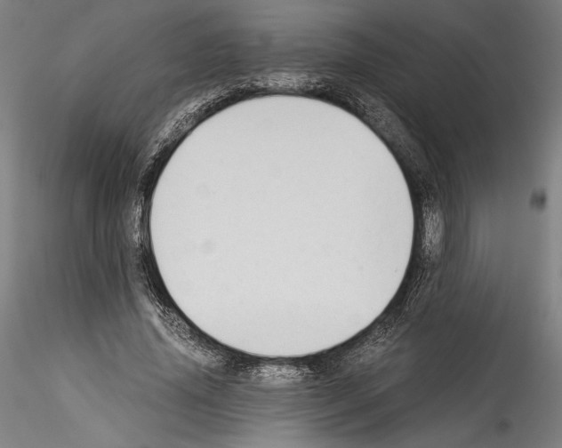 X0000114540636200911301202