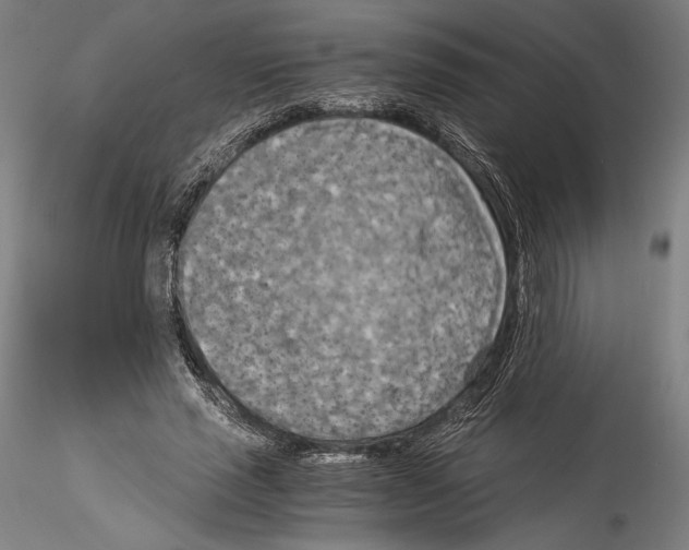 X0000114540637200911301202