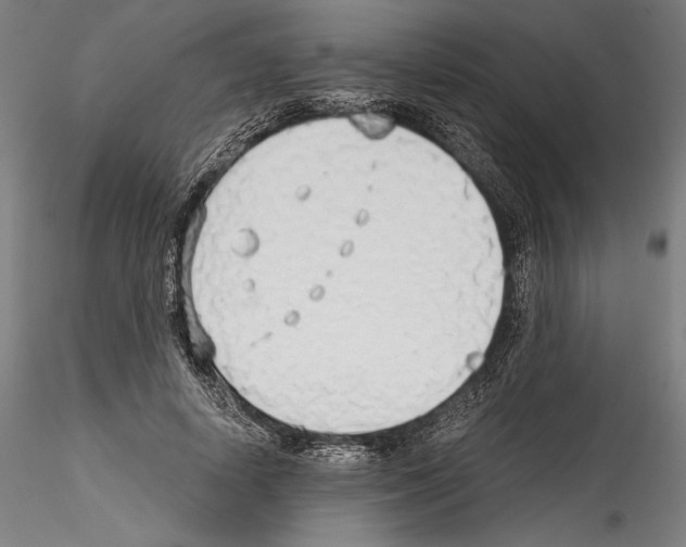 X0000114540642200911301203