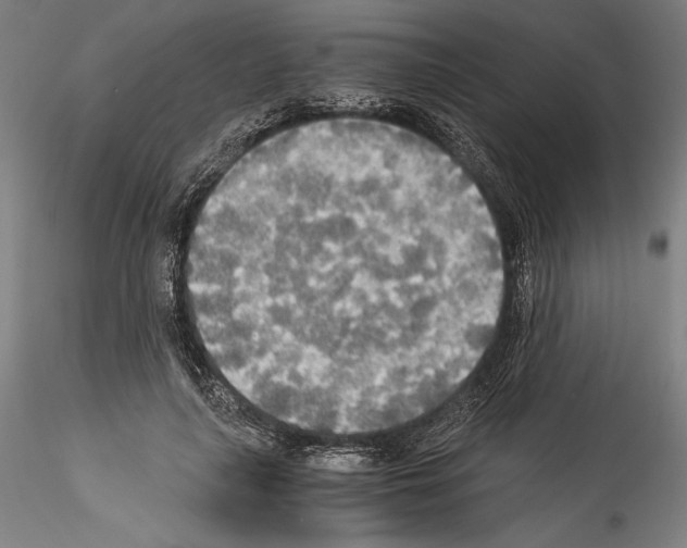 X0000114540643200911301203