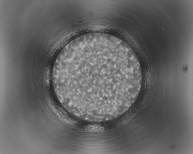 X0000114540644200911301203