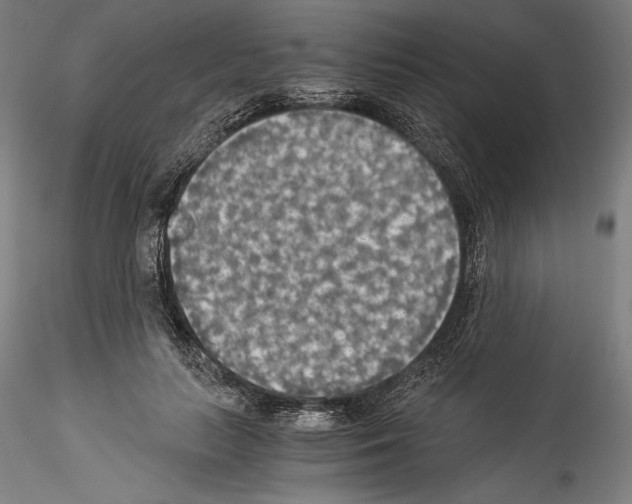 X0000114540647200911301203