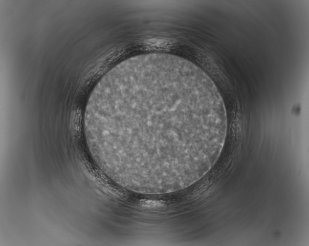 X0000114540649200911301203