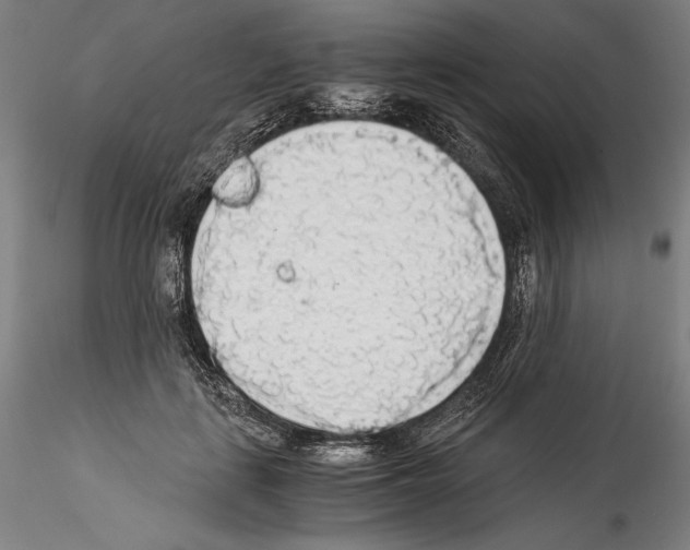 X0000114540651200911301203