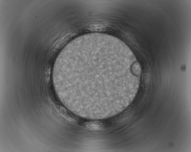 X0000114540652200911301203