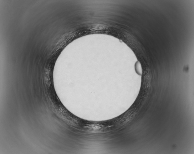 X0000114540654200911301203