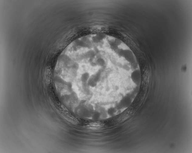 X0000114540659200911301203