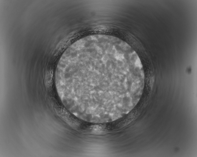 X0000114540660200911301203