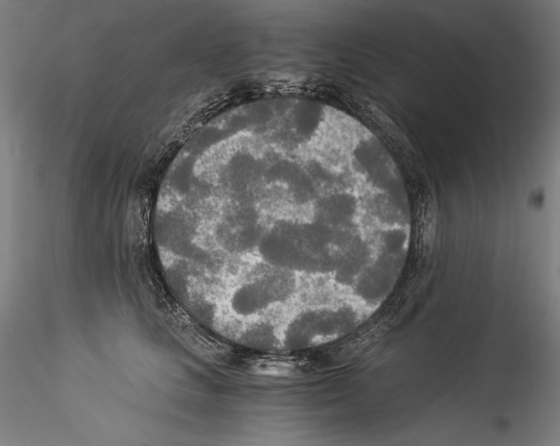 X0000114540661200911301203