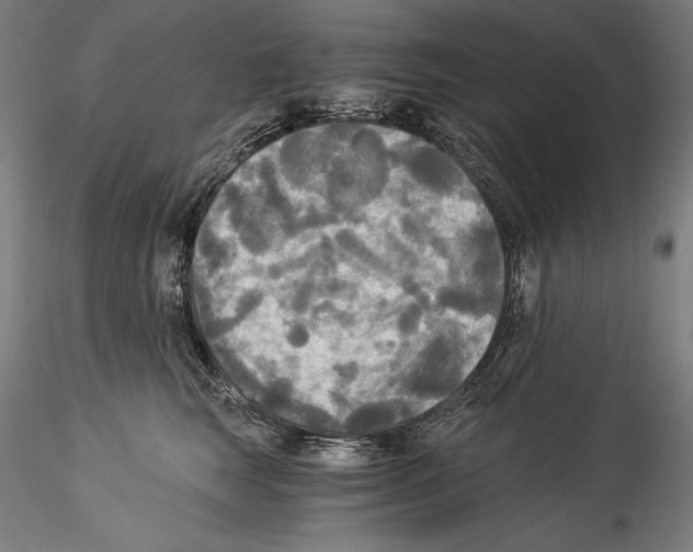 X0000114540663200911301203