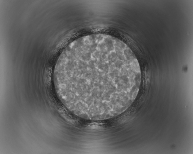 X0000114540664200911301203