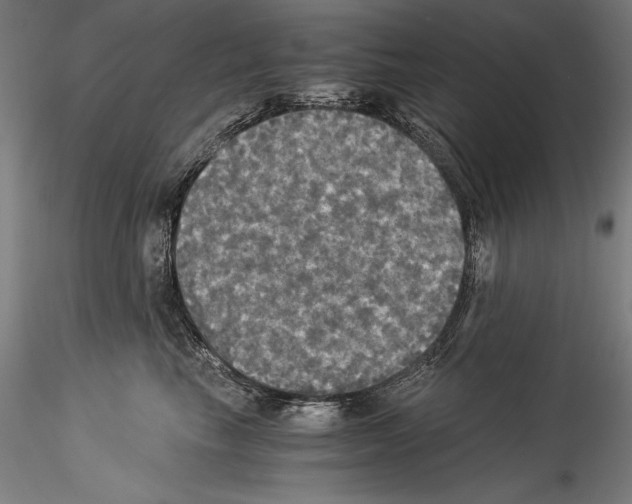 X0000114540665200911301203