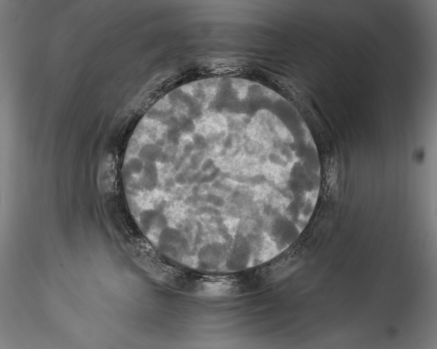 X0000114540667200911301203