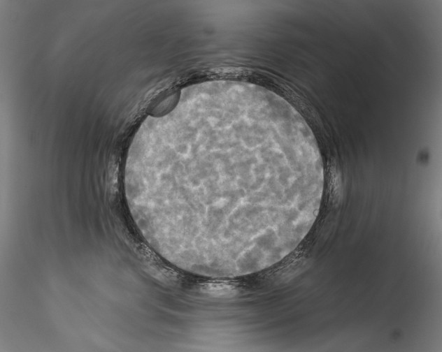 X0000114540668200911301203