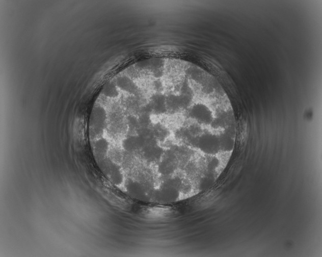 X0000114540669200911301203