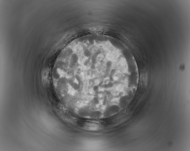 X0000114540671200911301203