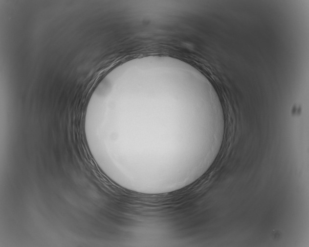 X0000114540672200911301203