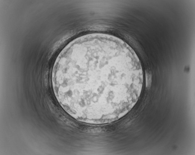 X0000114540675200911301202