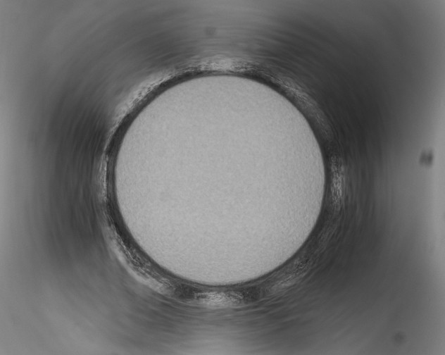 X0000114540678200911301202