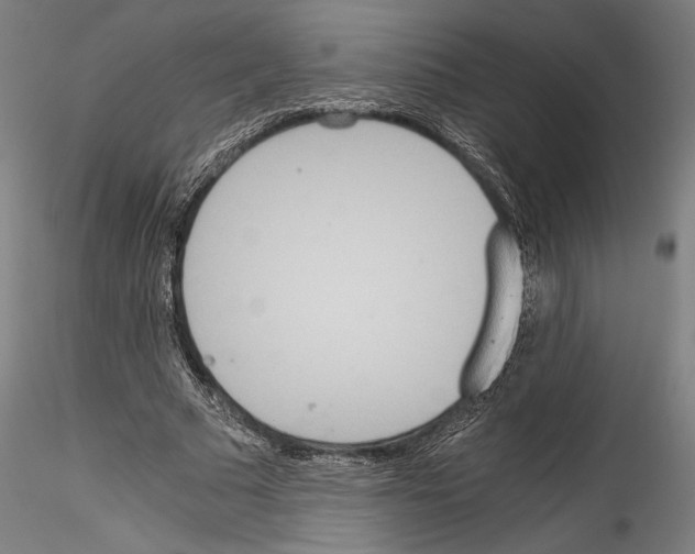 X0000114540681200911301202